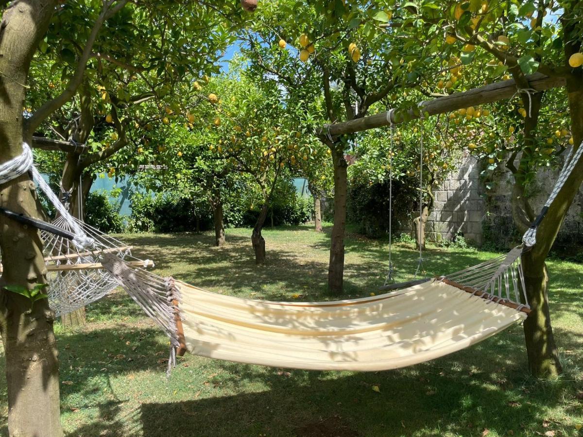 Casa Sorrento, Immerso Nel Verde A Pochi Passi Dal Centro Eksteriør billede