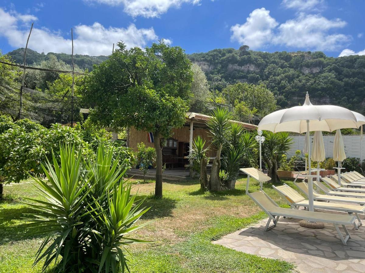Casa Sorrento, Immerso Nel Verde A Pochi Passi Dal Centro Eksteriør billede