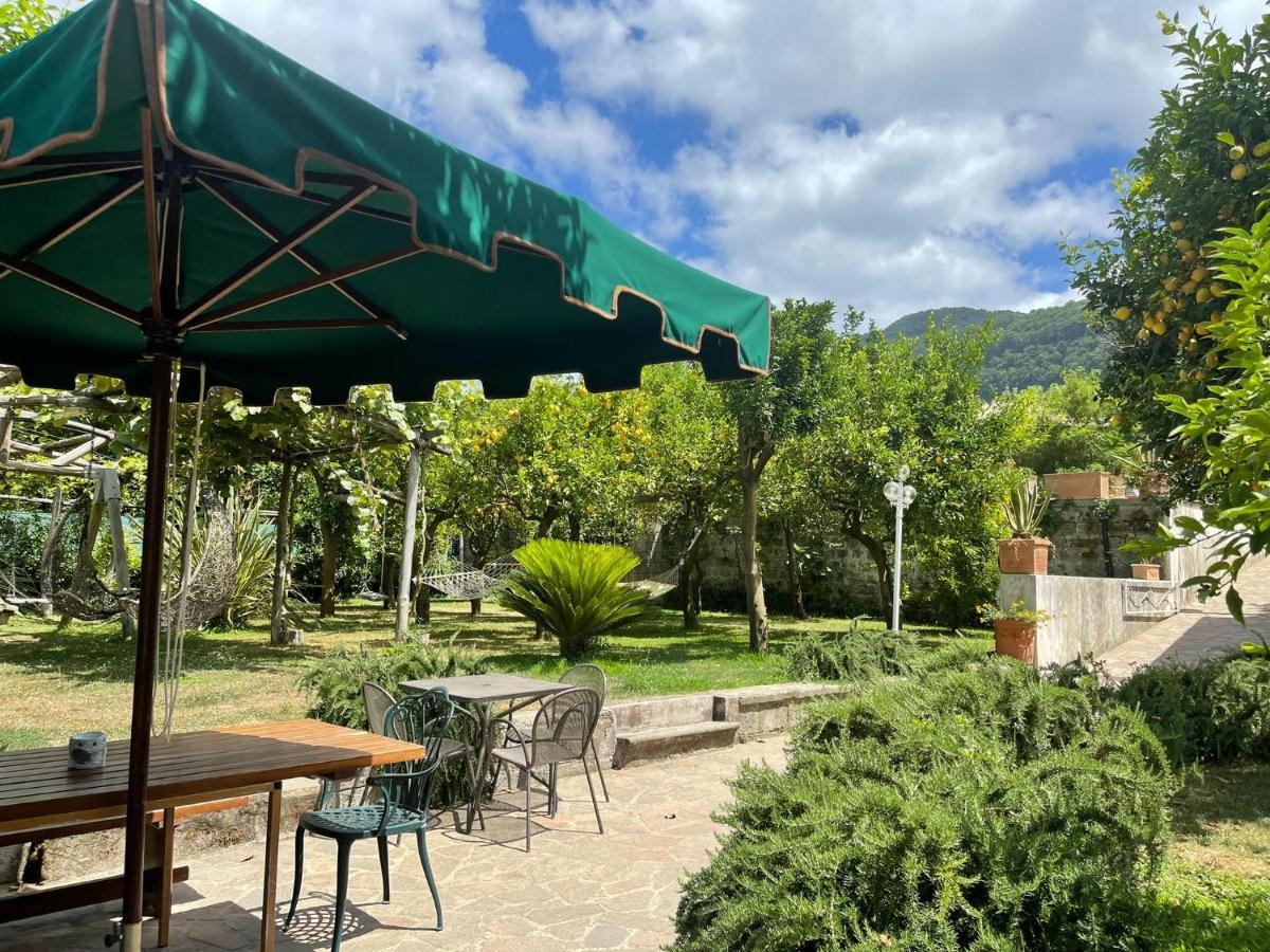 Casa Sorrento, Immerso Nel Verde A Pochi Passi Dal Centro Eksteriør billede