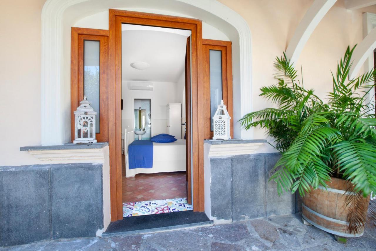 Casa Sorrento, Immerso Nel Verde A Pochi Passi Dal Centro Eksteriør billede